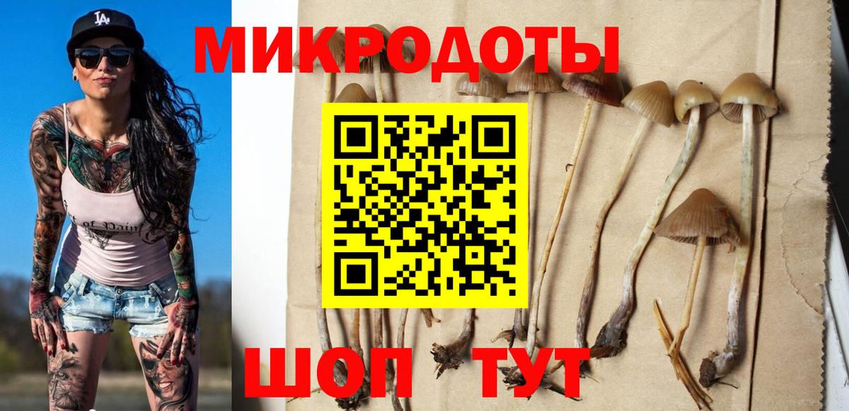 Иваново  Галлюциногенные грибы мицелий  Вход с VPN 